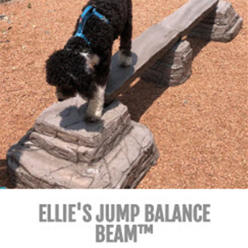 CAD Drawings BIM Models Gyms For Dogs Ellie's Jump Balance Beam